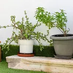 아파트 Contessa Elli Residences 아르고스톨리온